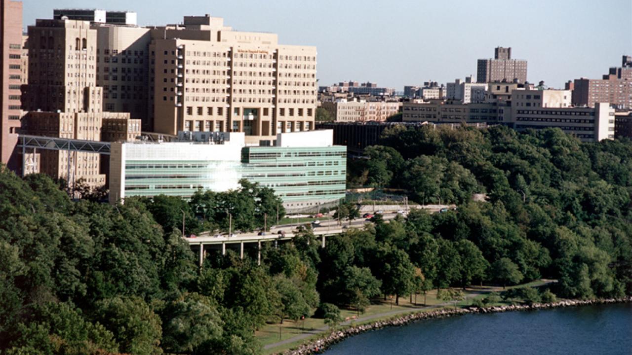 About Us Lyme Disease