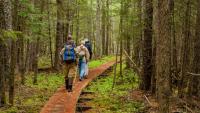 Hikers walking down a wooden plank path in the woods